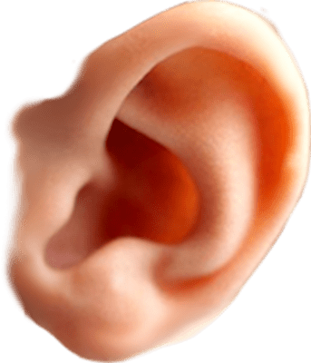 Ear PNG