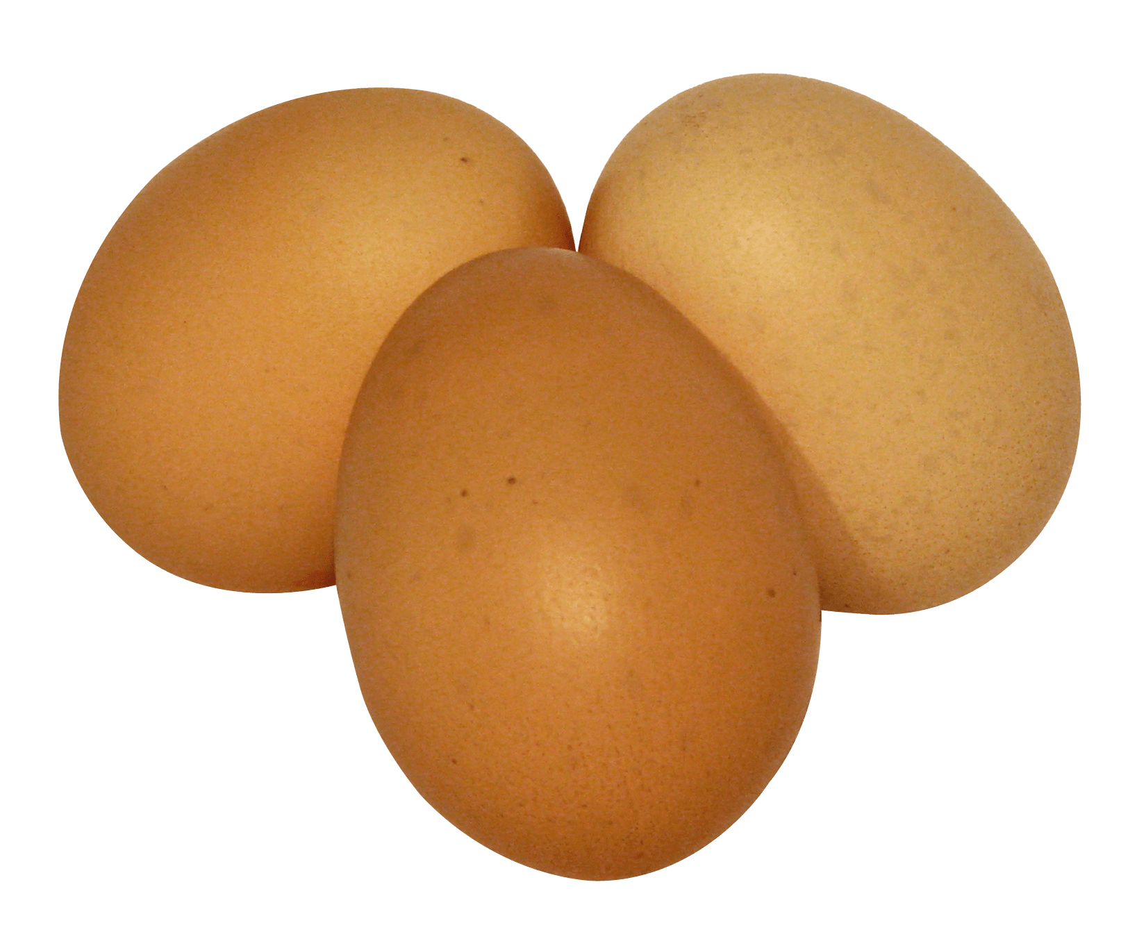 eggs PNG