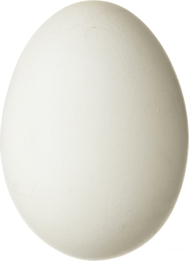 Eggs PNG transparent image download, size 800x1106px