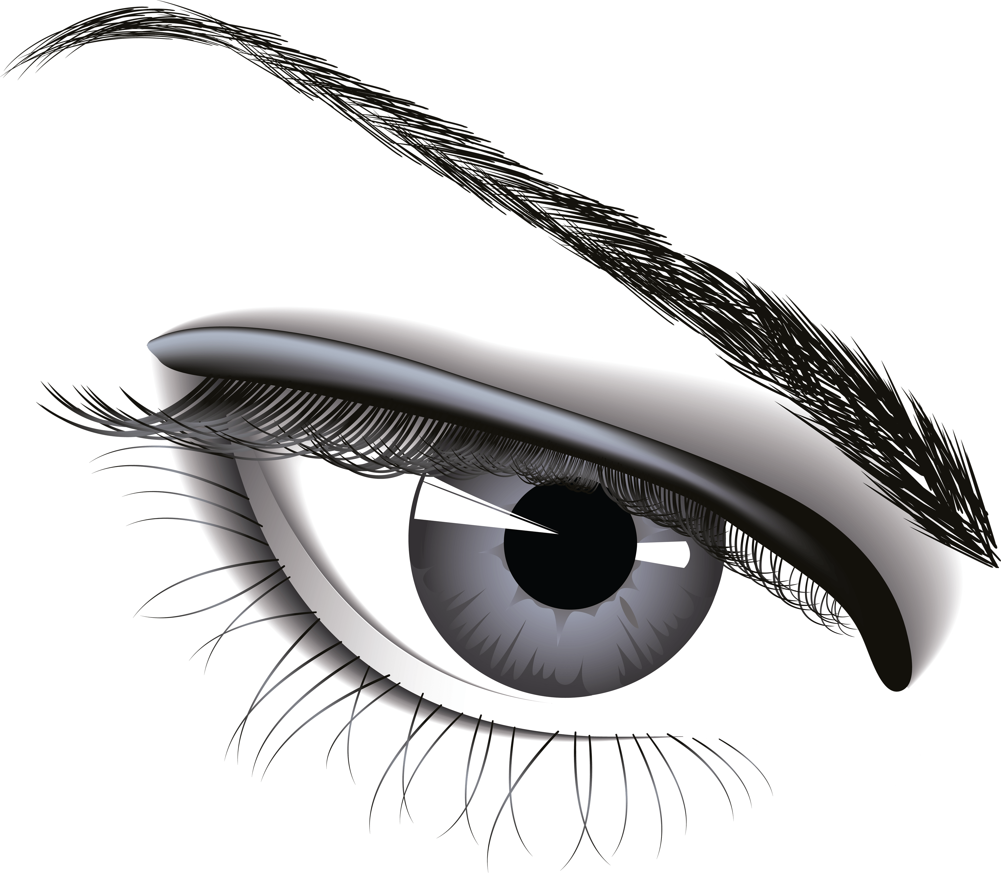 Eye PNG image