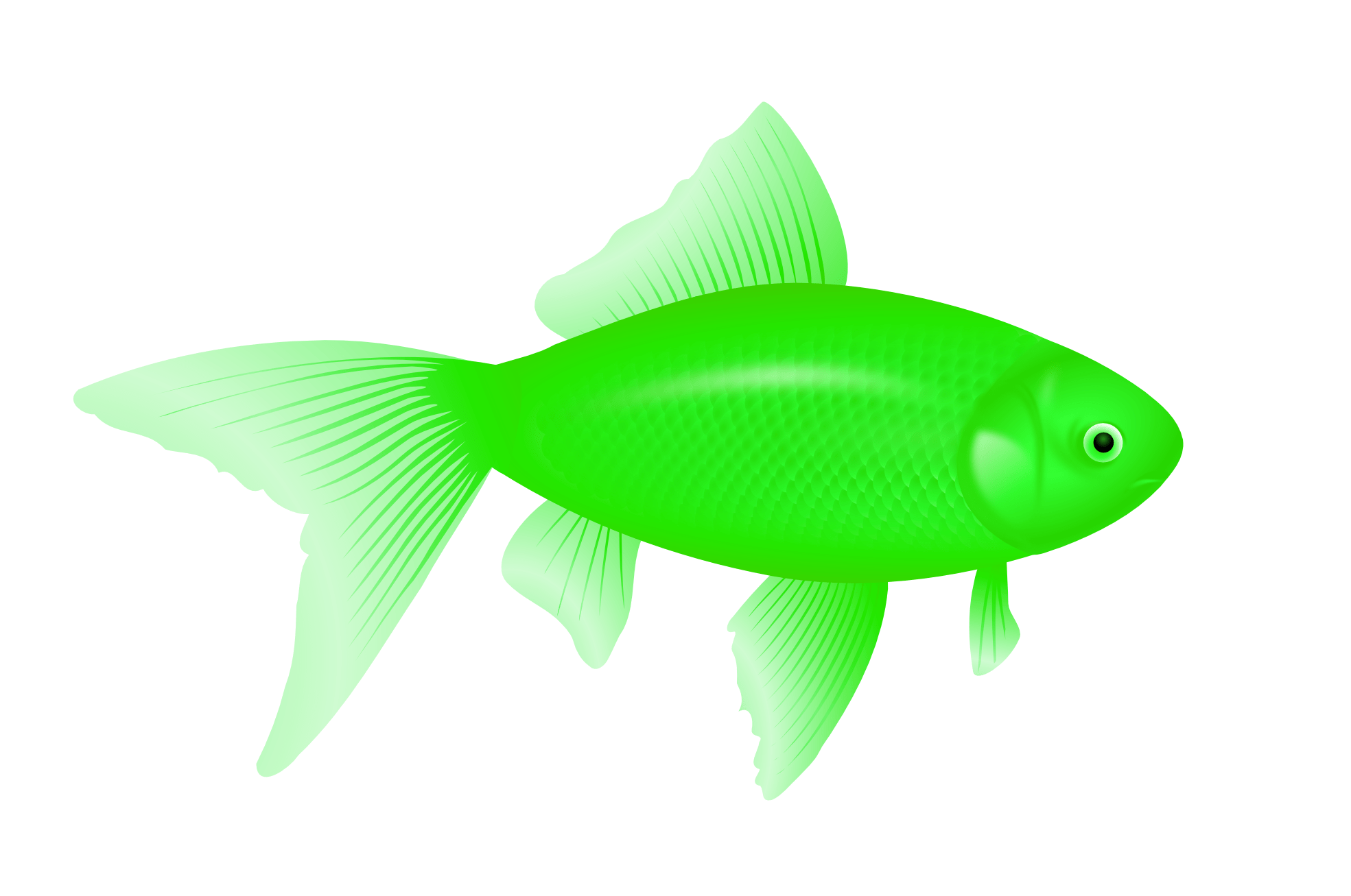 green fish PNG image
