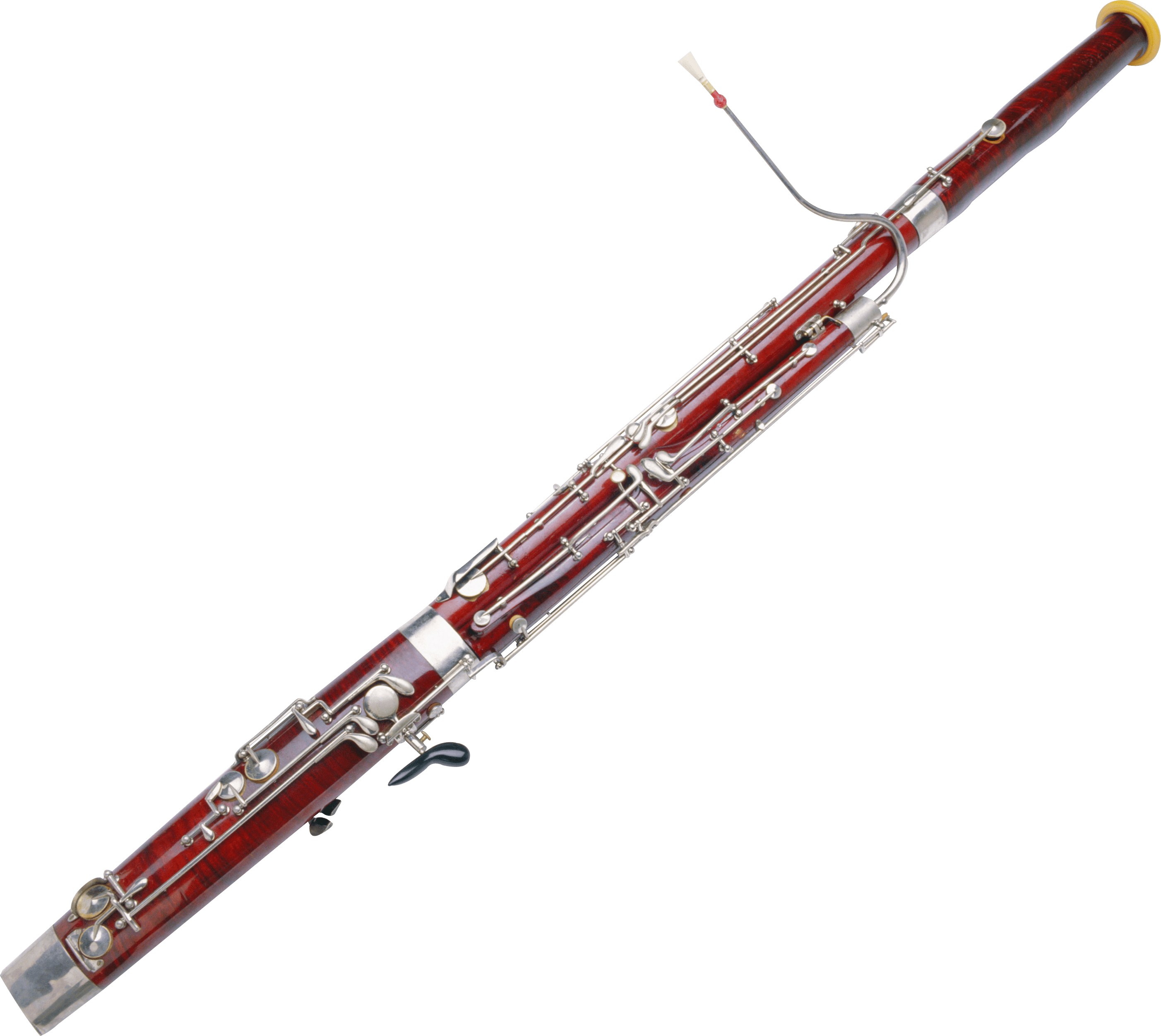 Collection 96+ Pictures Which Instrument Family Does The Flute Belong