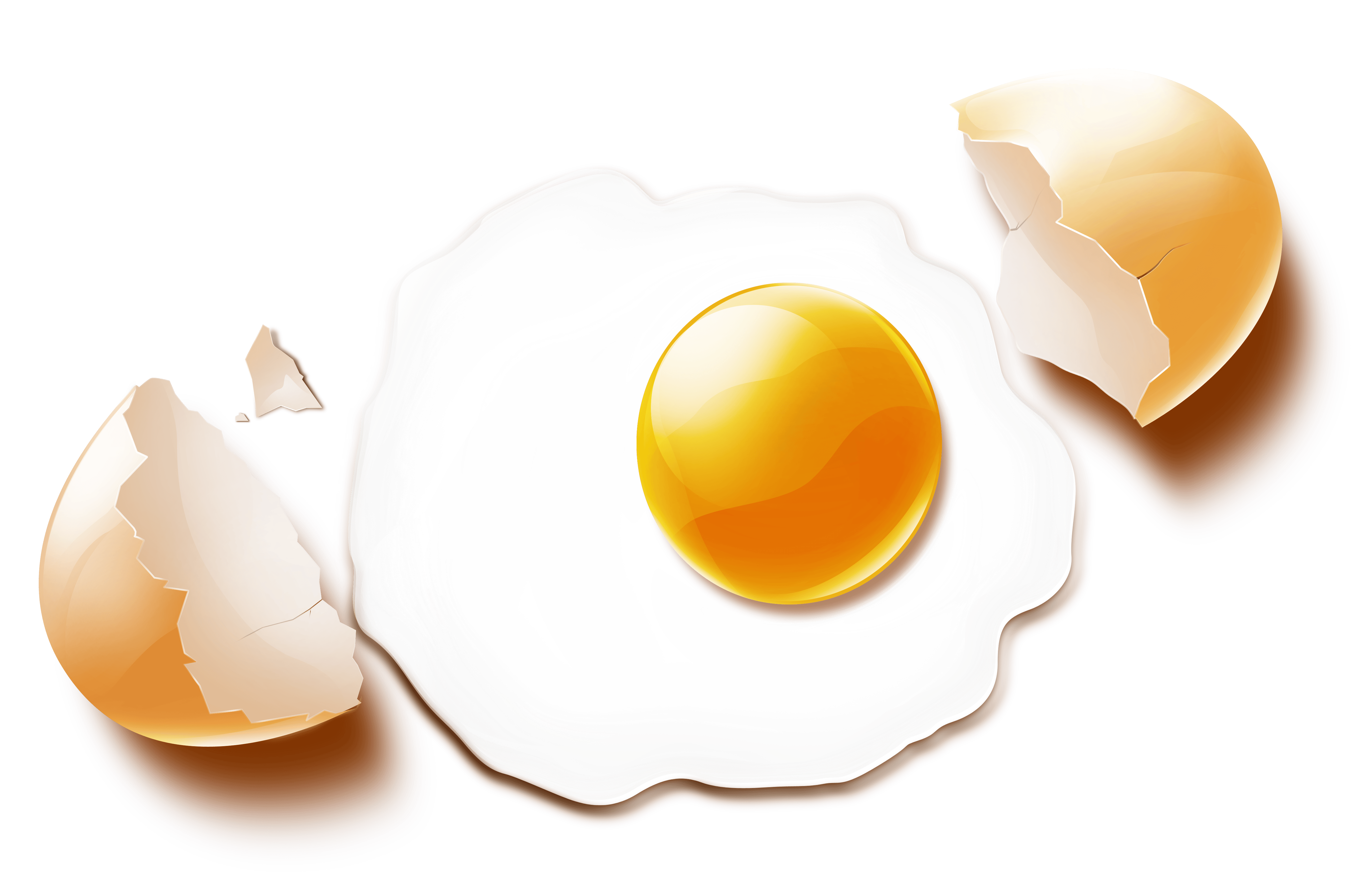 Fried egg PNG