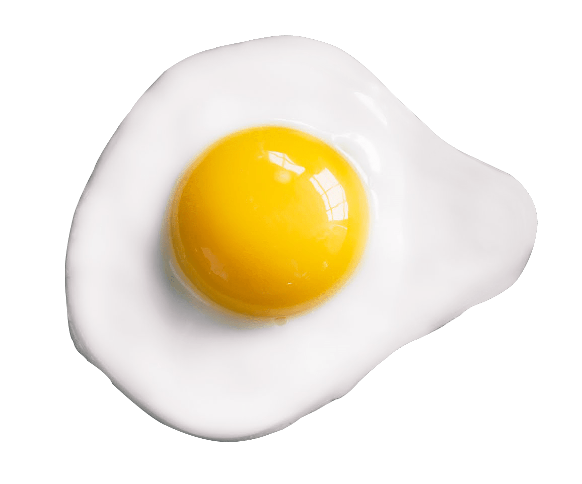 Fried egg PNG