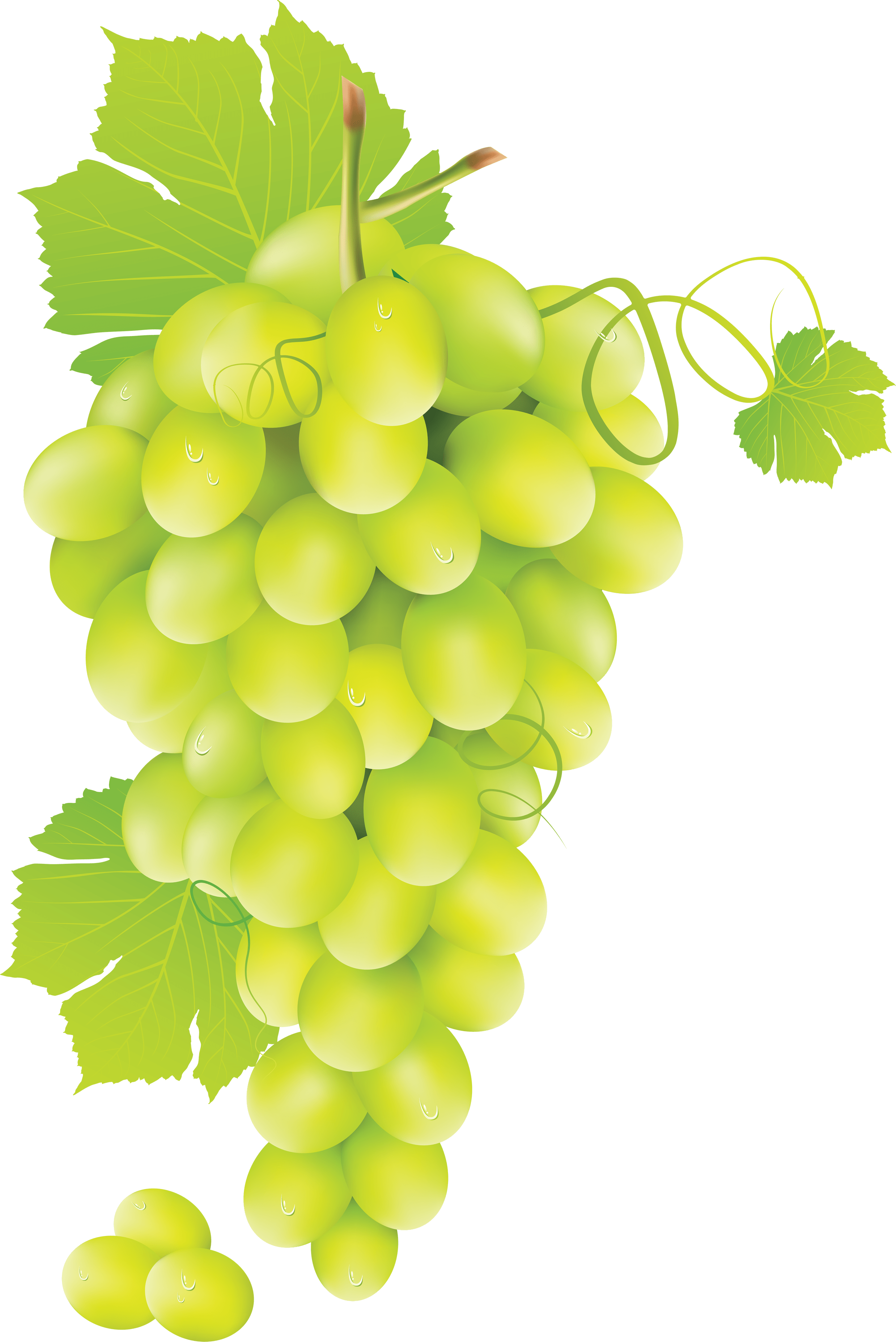 Green grape PNG image