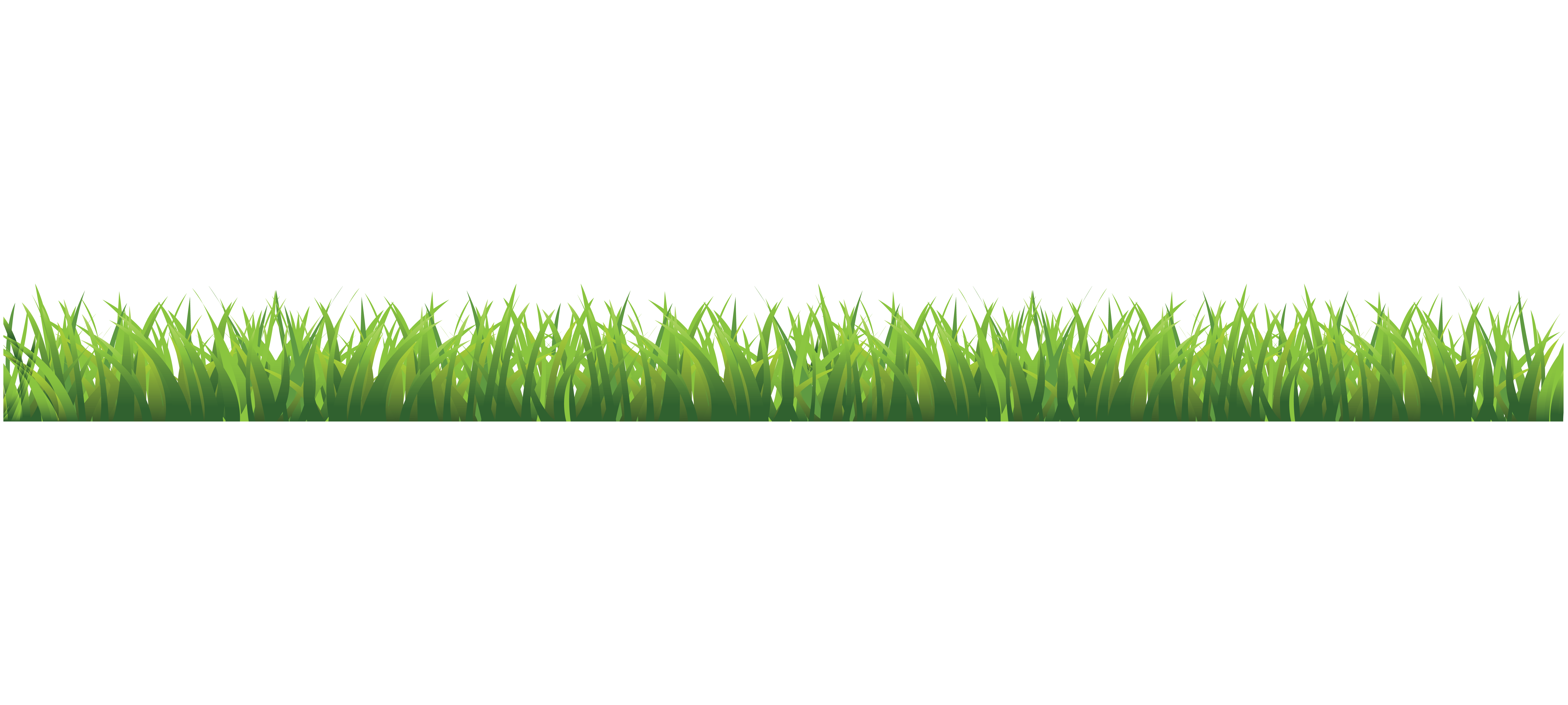 Grass PNG transparent image download, size 7327x3295px