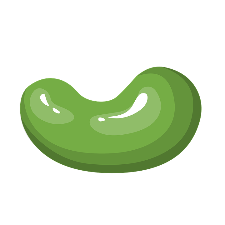 Green bean PNG