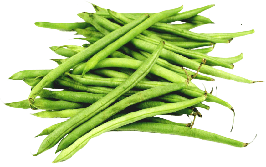 Green bean PNG