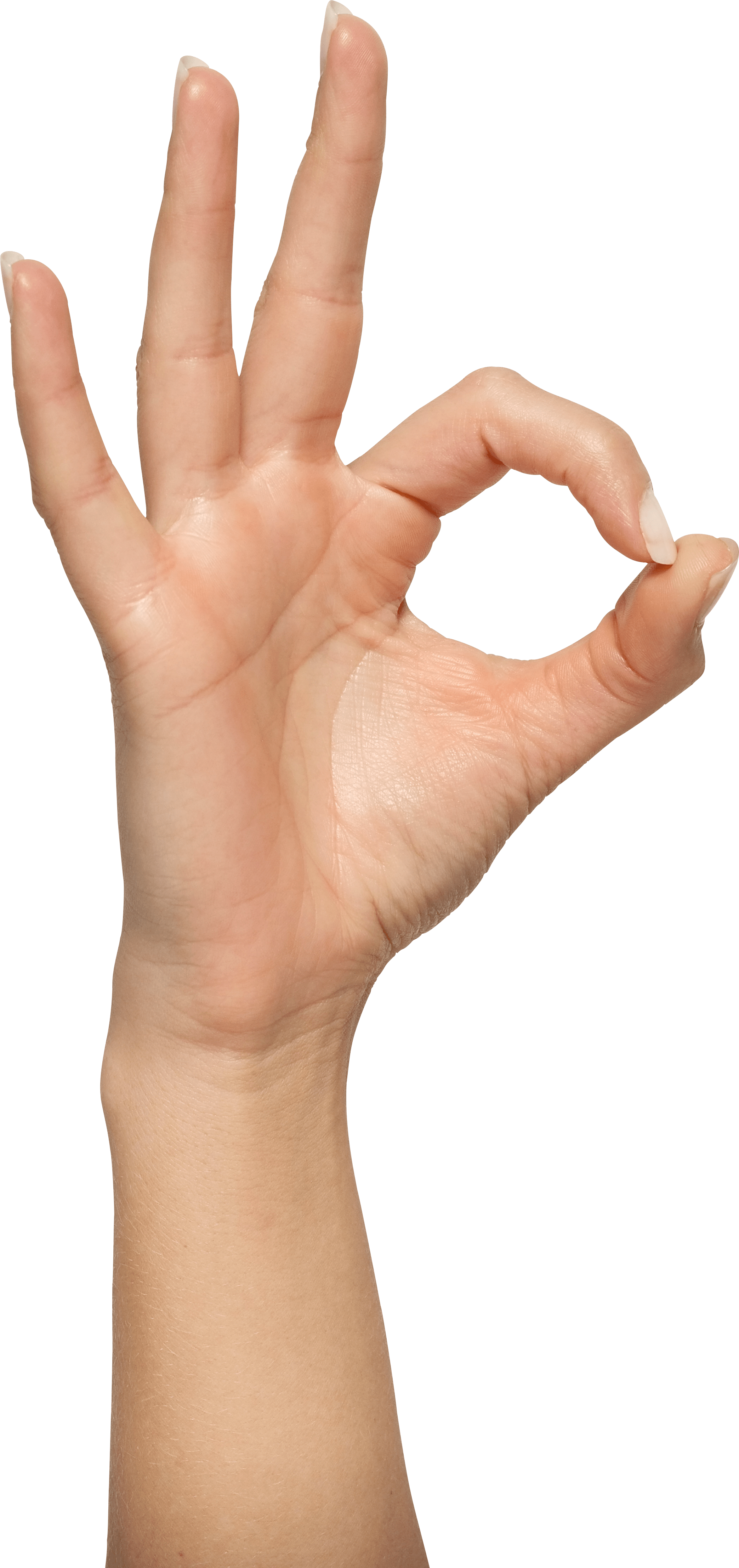 Hands Stock Photos, Pictures & Royalty-Free Images