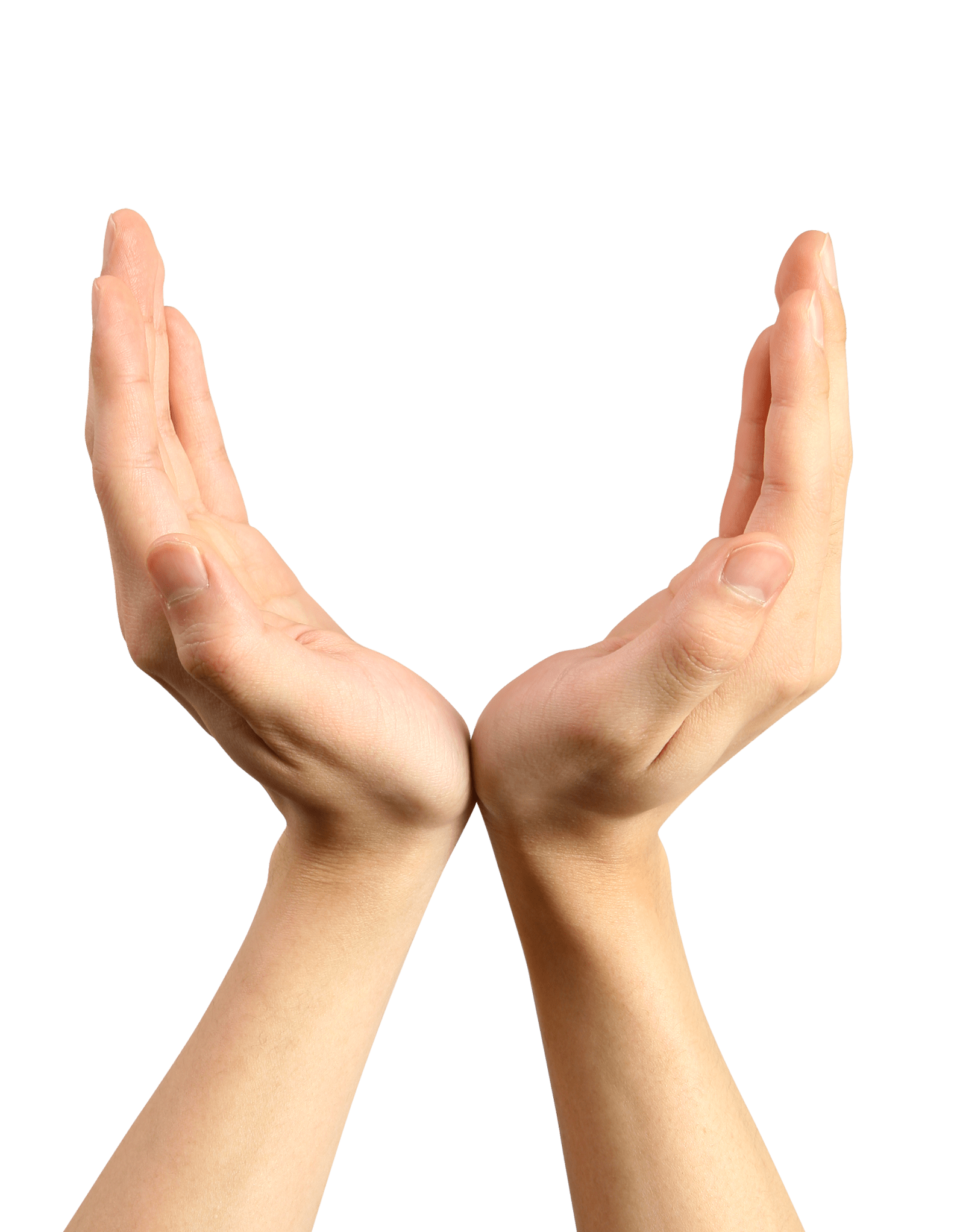 Hands PNG free images, pictures download, hand