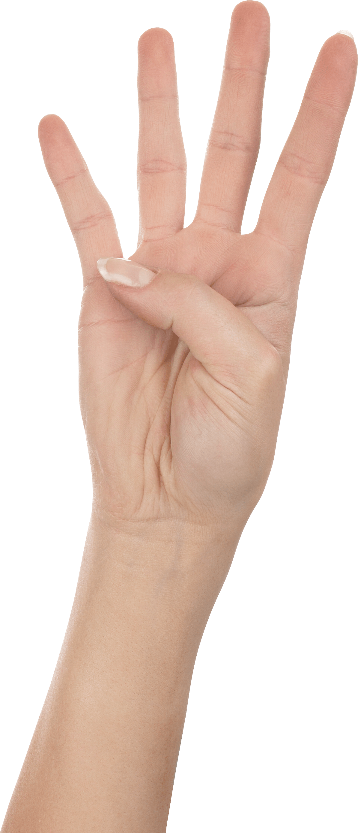 Beautiful Hands Stock Photos, Pictures & Royalty-Free Images
