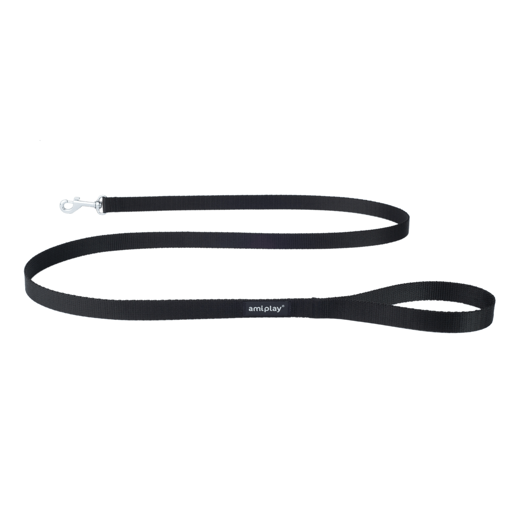 Leash PNG transparent image download, size 1000x1000px