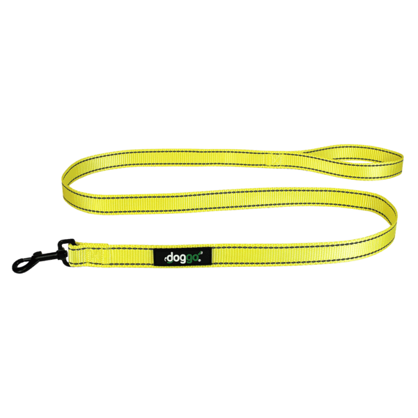 Leash PNG transparent image download, size 600x600px