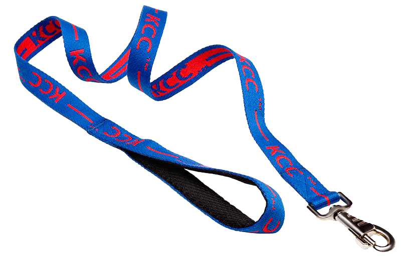 Leash PNG transparent image download, size 800x526px