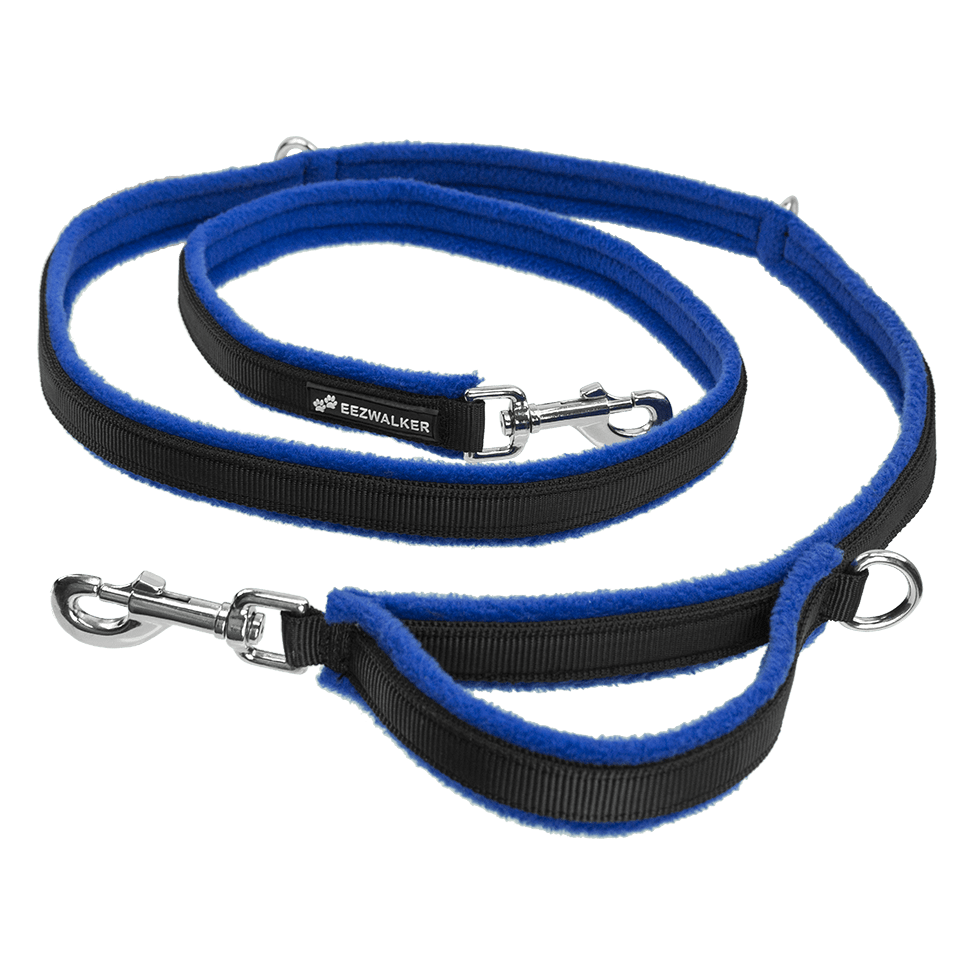 Leash PNG transparent image download, size 975x975px