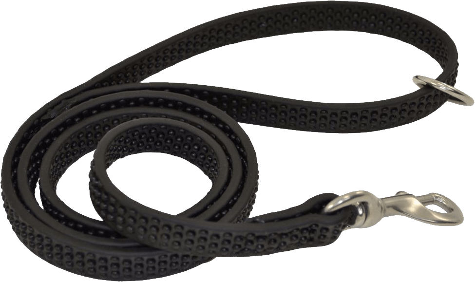 Leash PNG