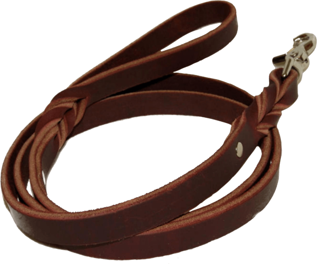 Leash PNG