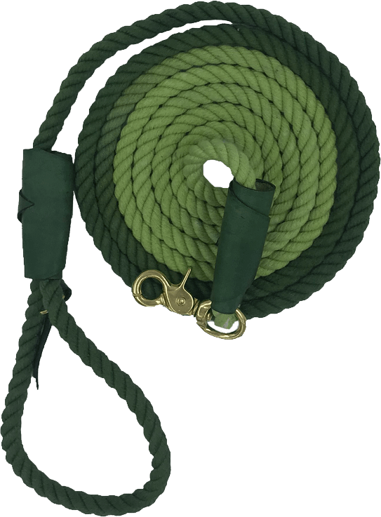 Leash PNG