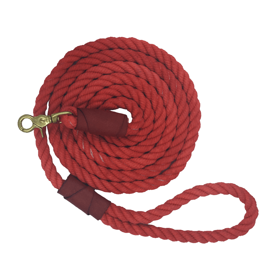 Leash PNG transparent image download, size 871x887px