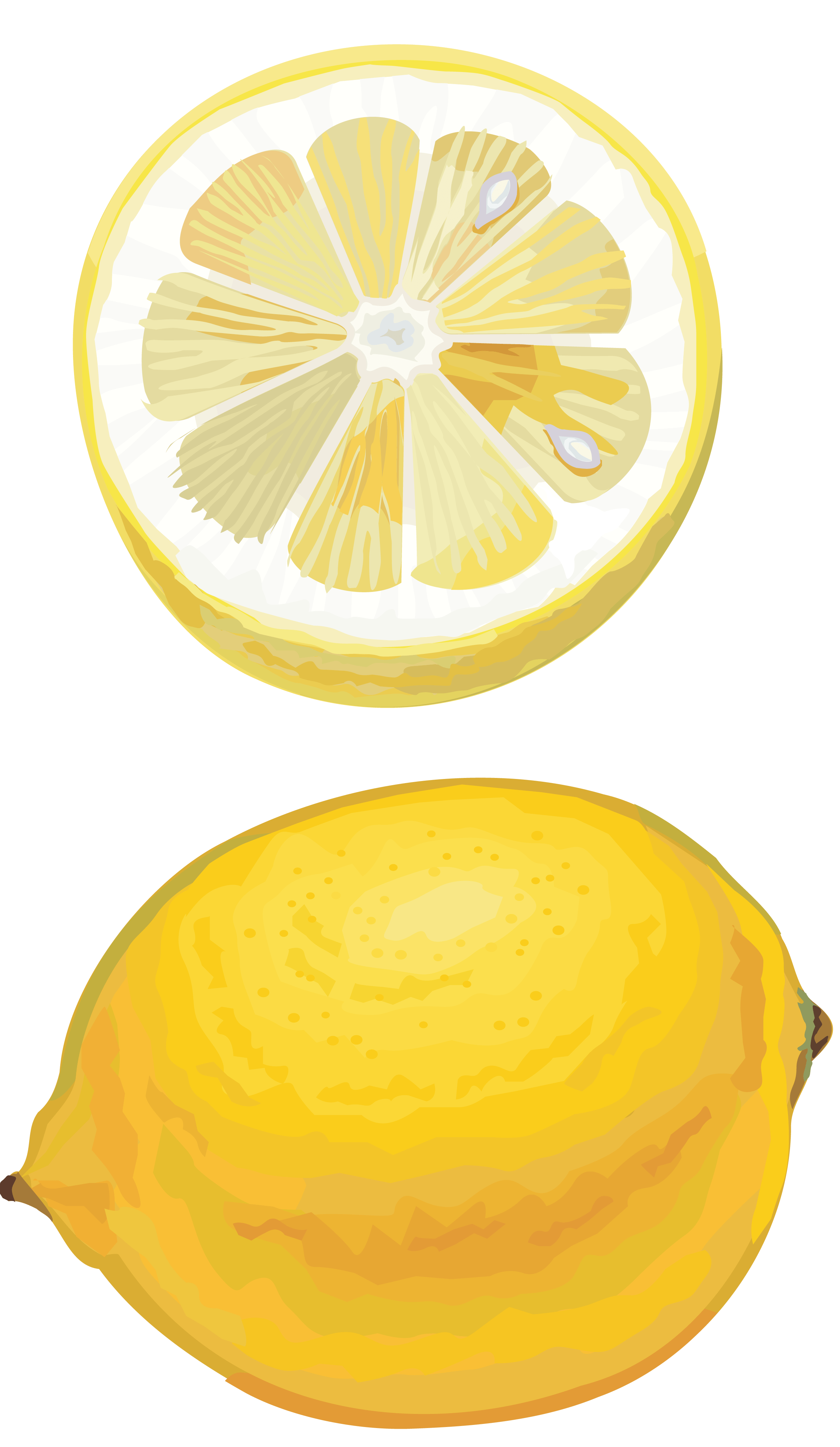 Lemon PNG transparent image download, size 2439x4200px