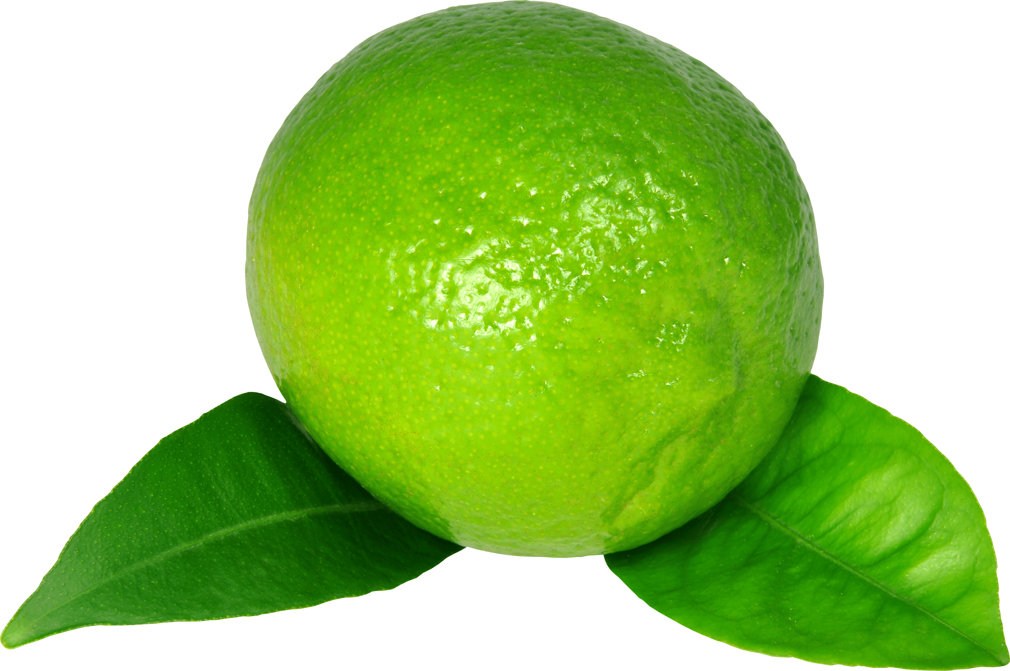 Lime PNG