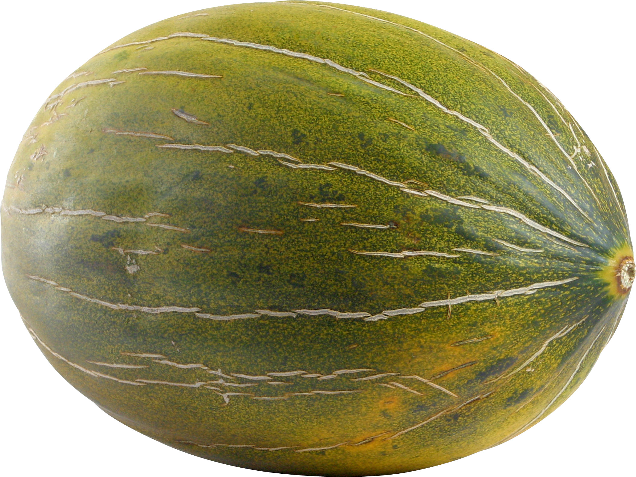 Melon PNG