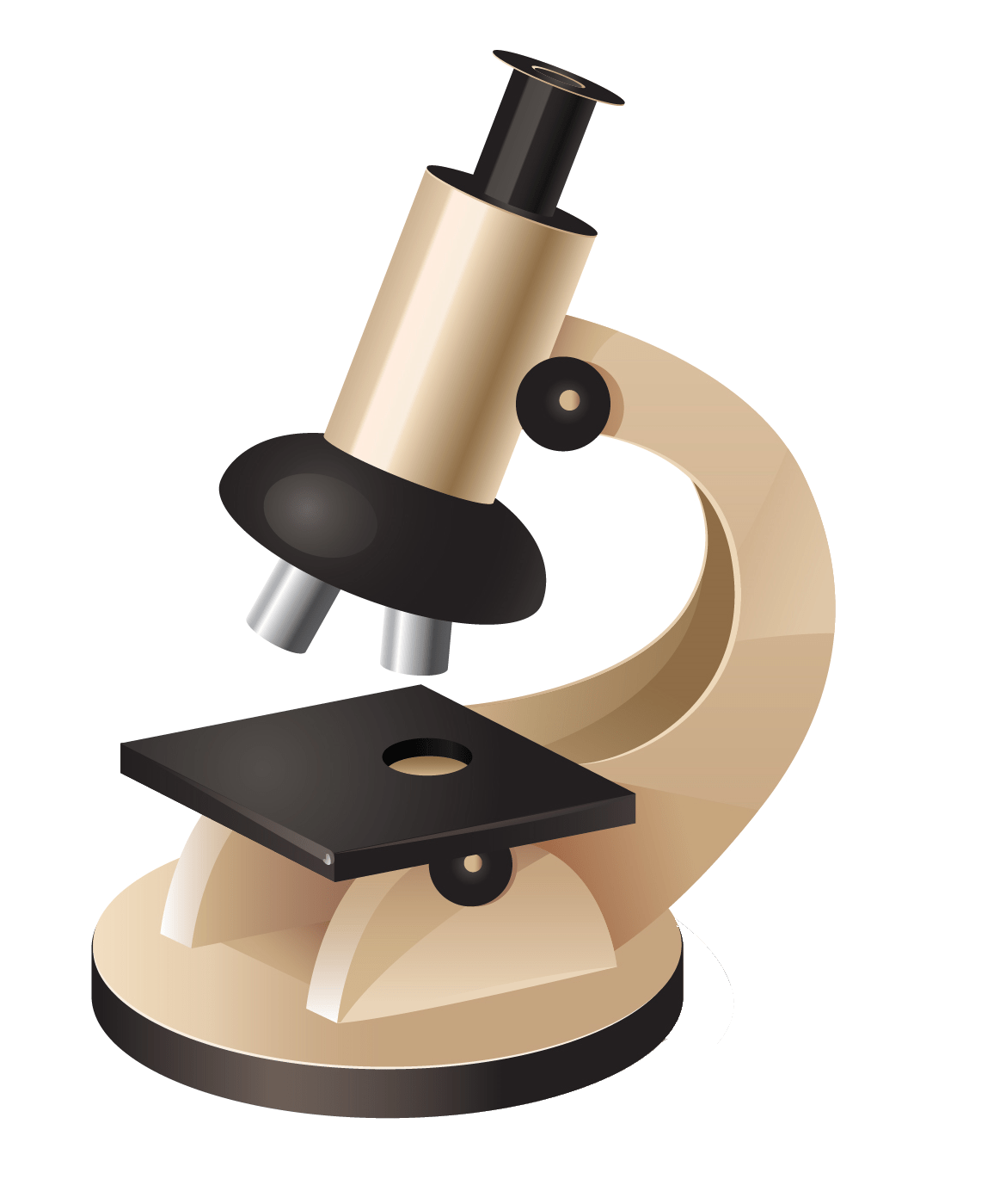 Microscope Png Transparent - uwelenizone