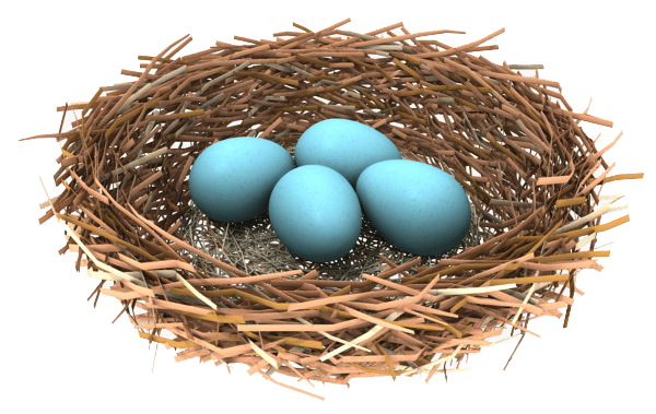 Nest PNG