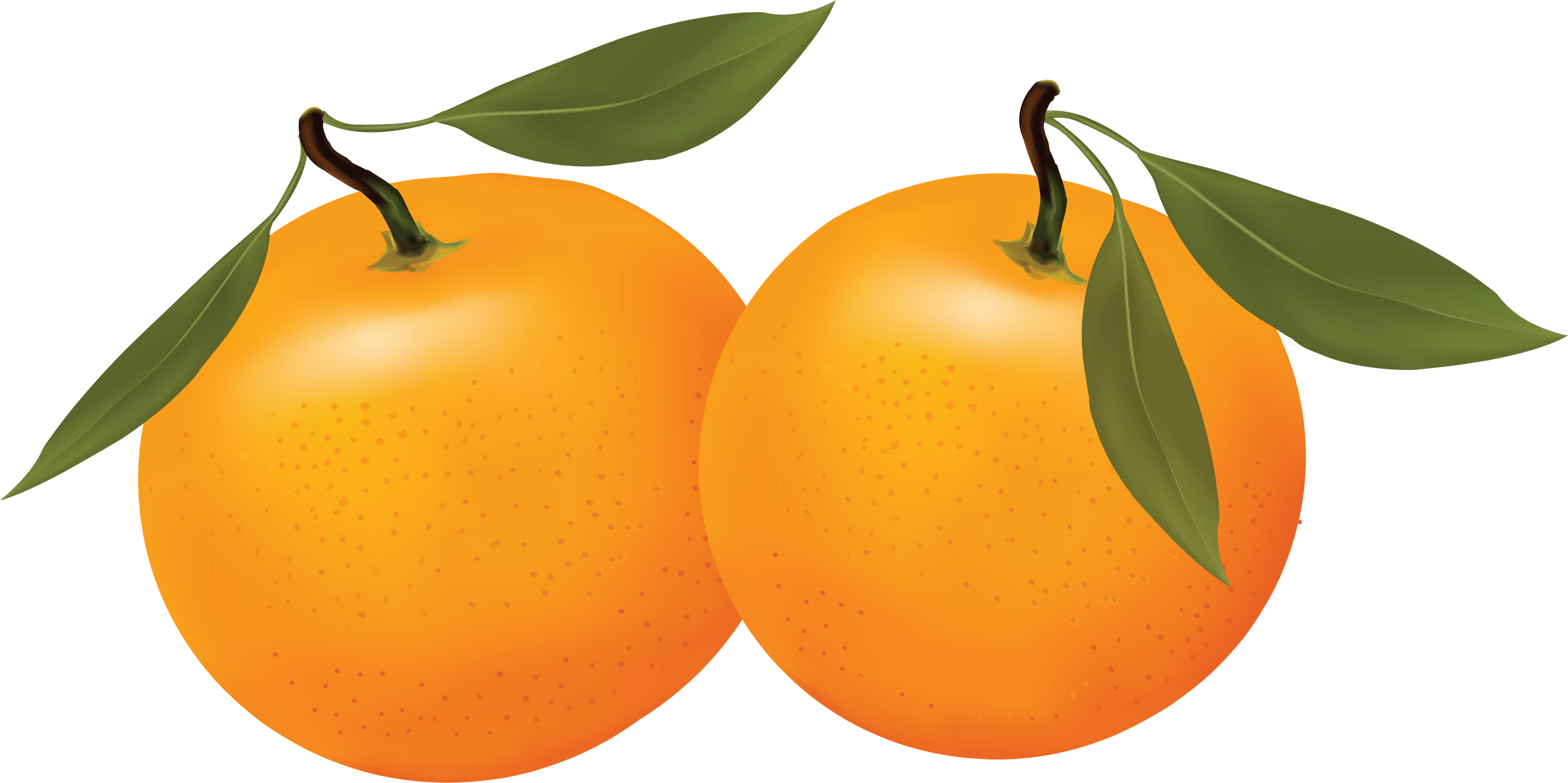 Orange PNG image, free download transparent image download, size