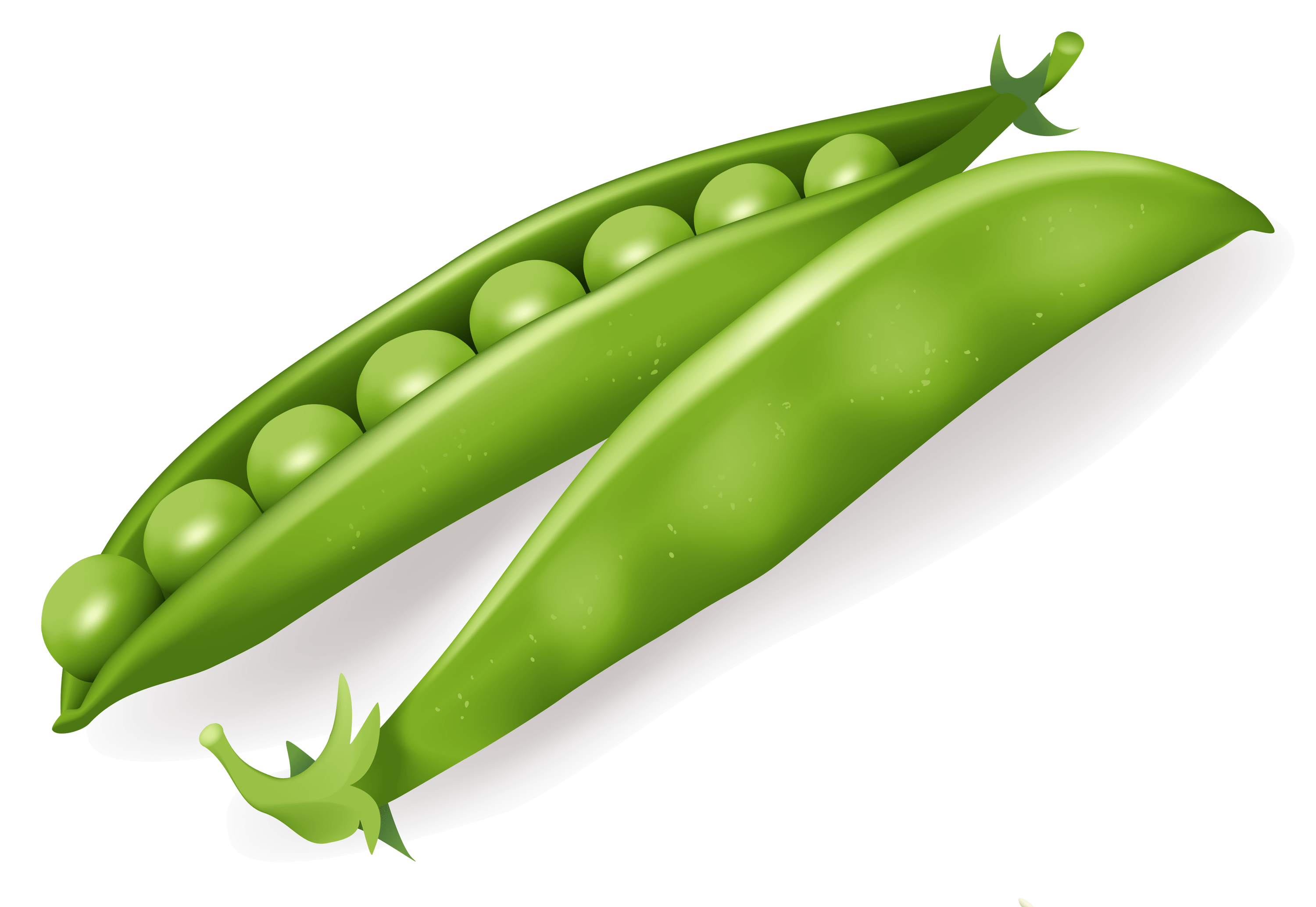 Pea PNG