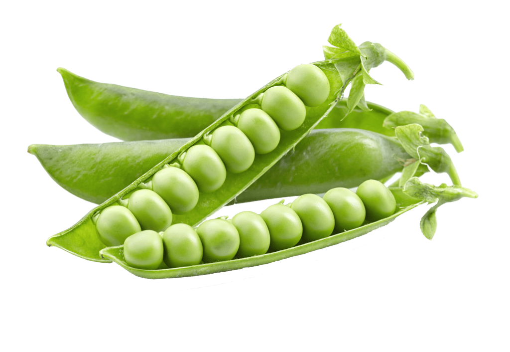 Pea PNG