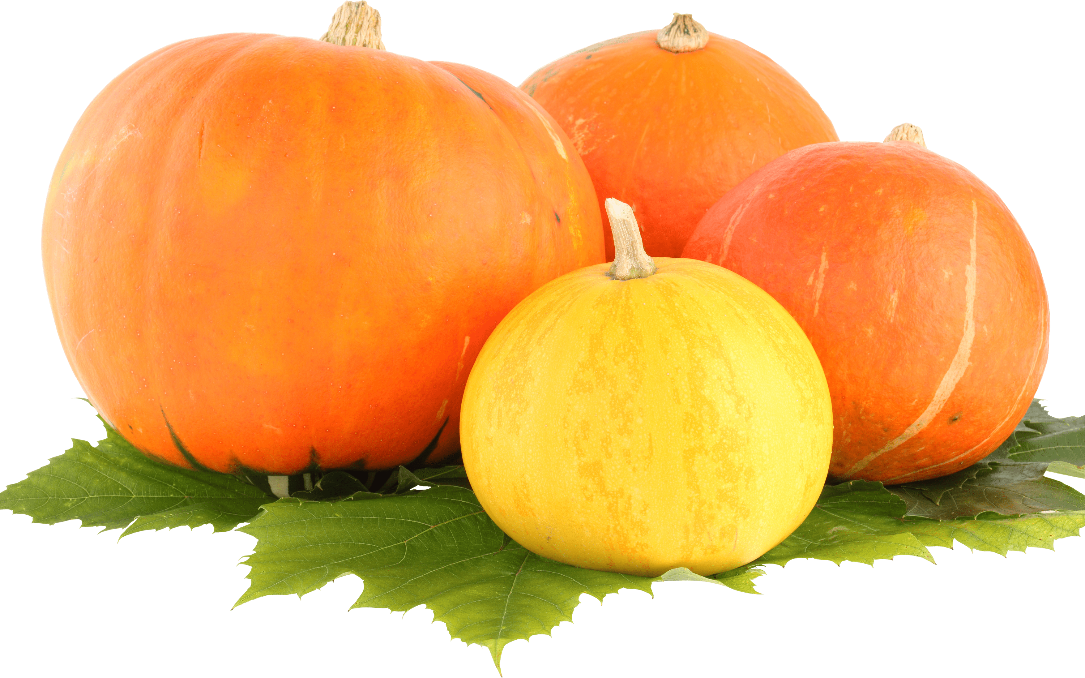 Pumpkin PNG images free download