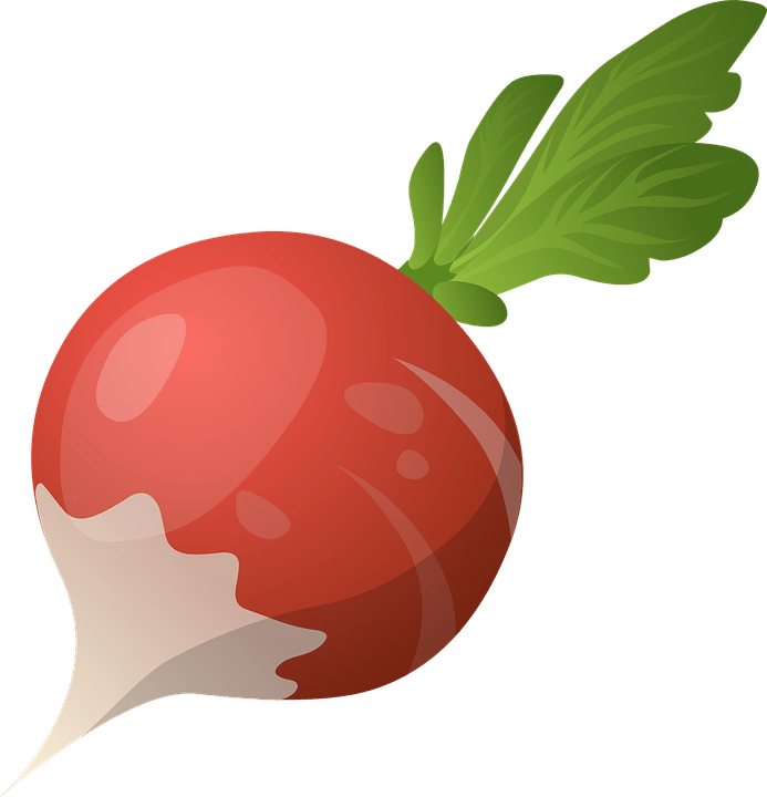 Radish PNG