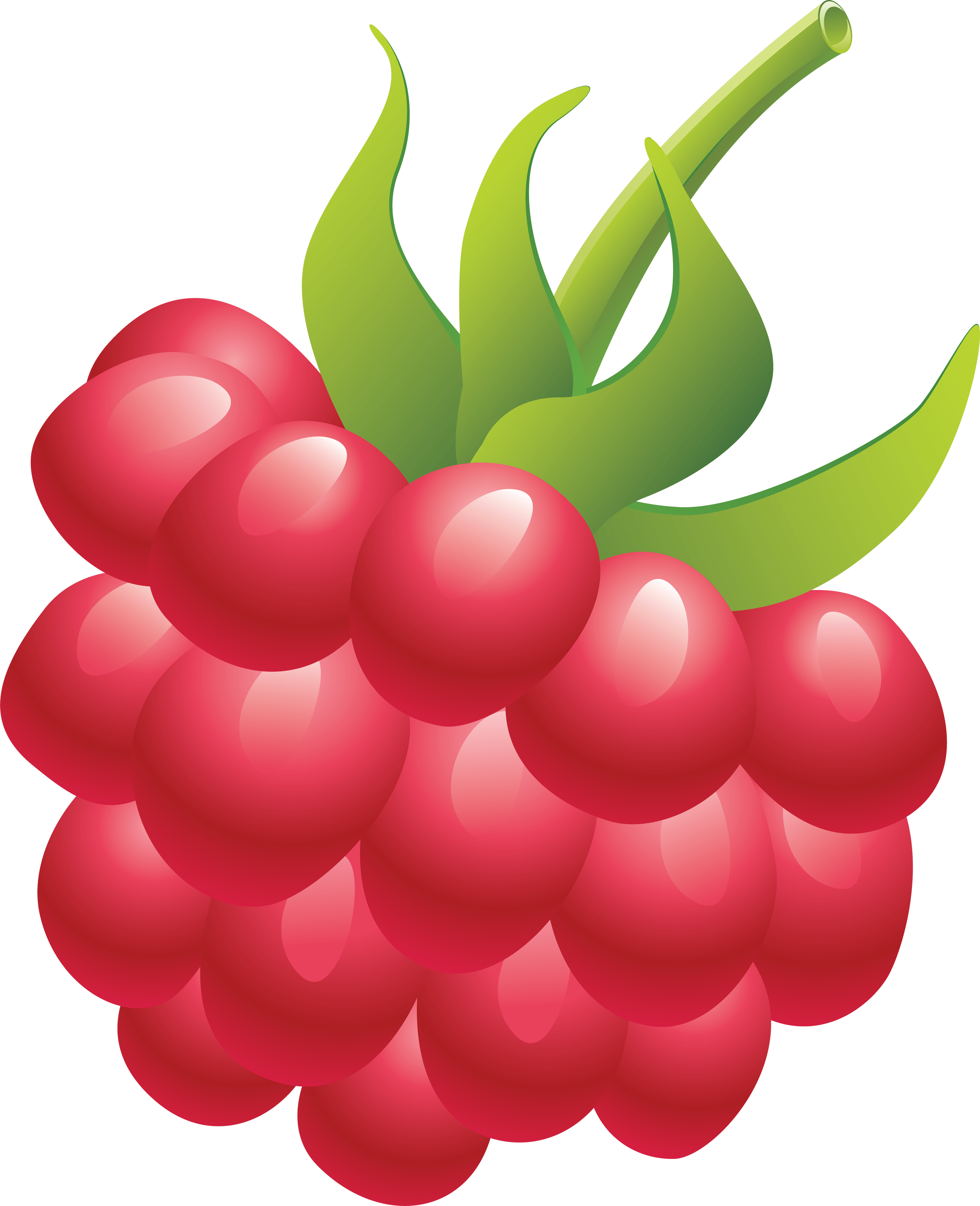 Rraspberry PNG image