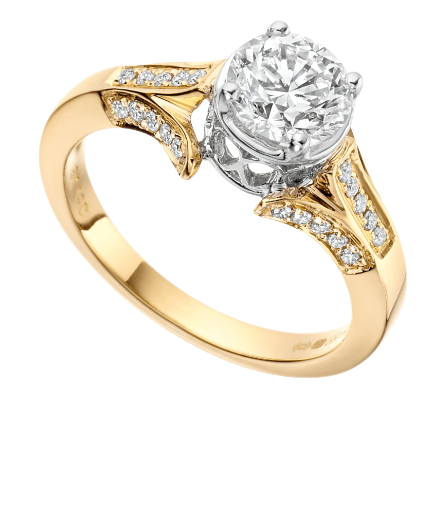 Round Ring Png