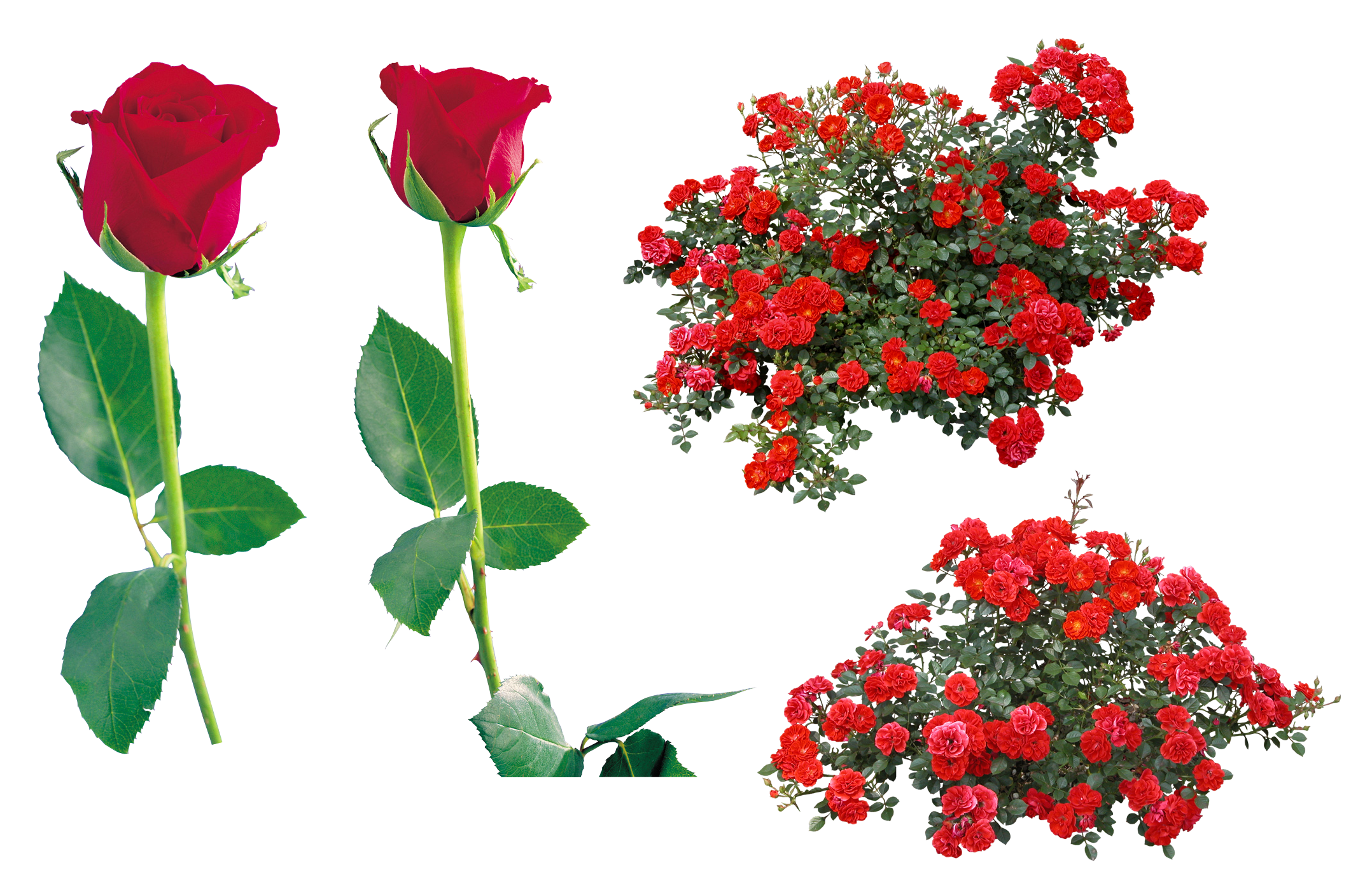 Gambar Gambar Kepala Karakter Upin Ipin Format Png Grafis Media di