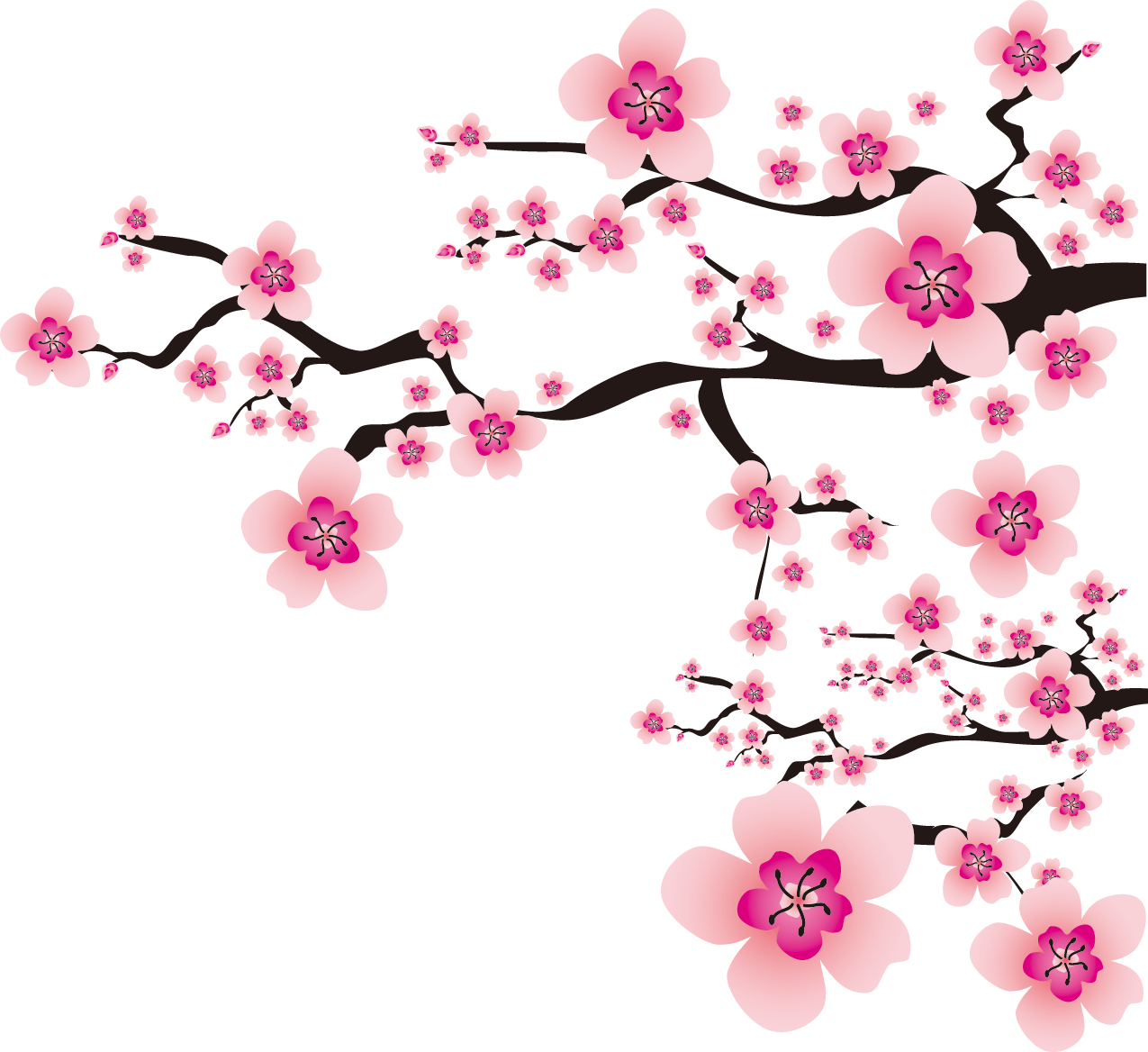 Sakura PNG
