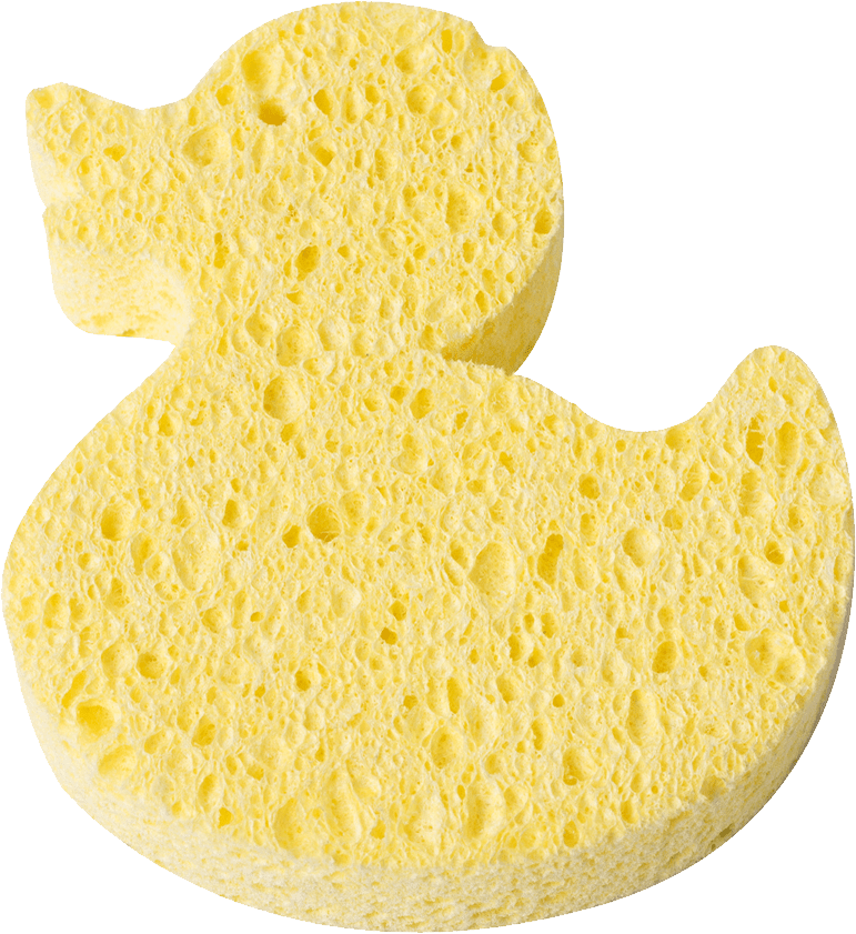 Sponge bath PNG
