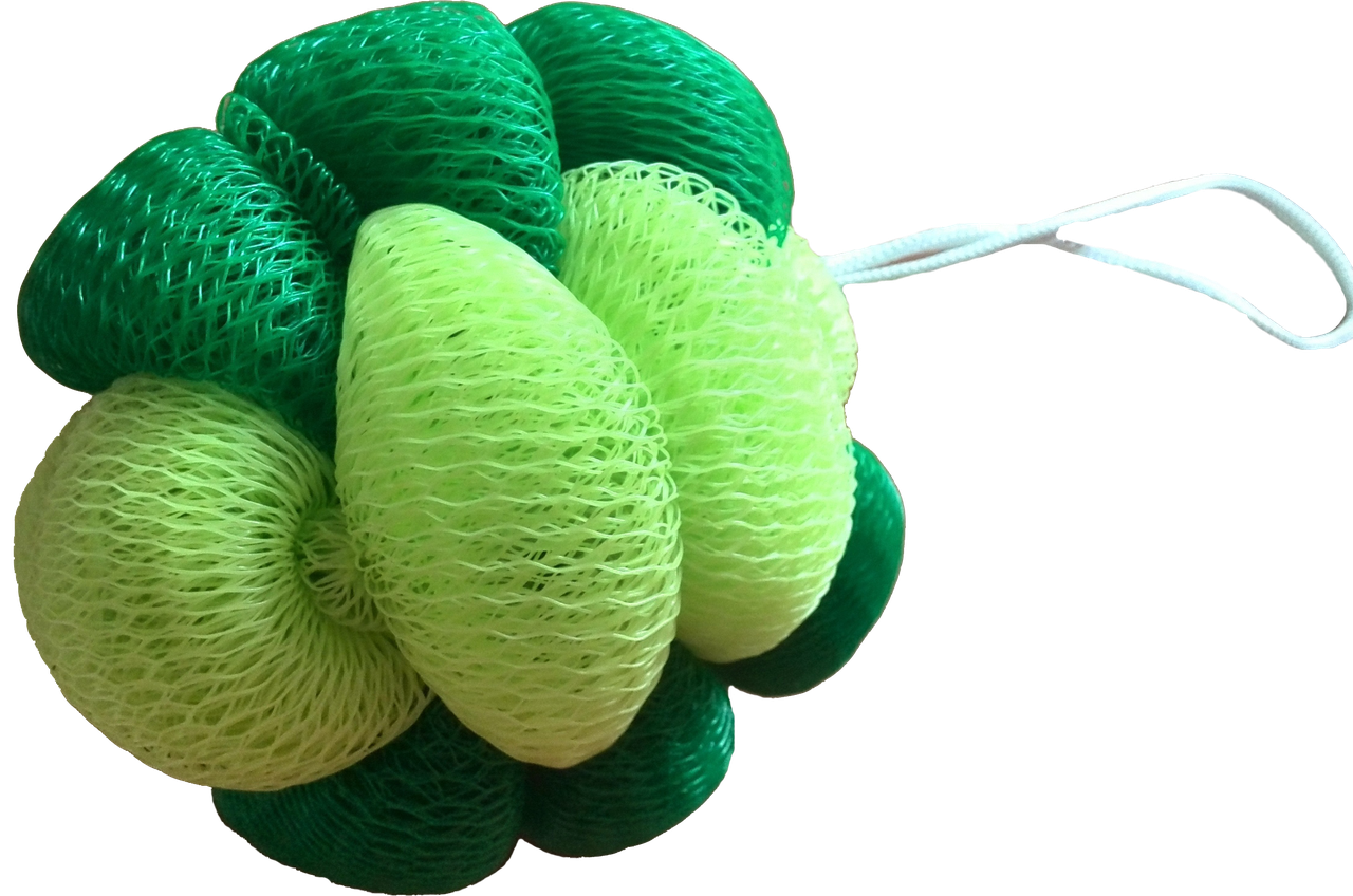 Sponge bath PNG Download PNG image sponge_bath_PNG24.png