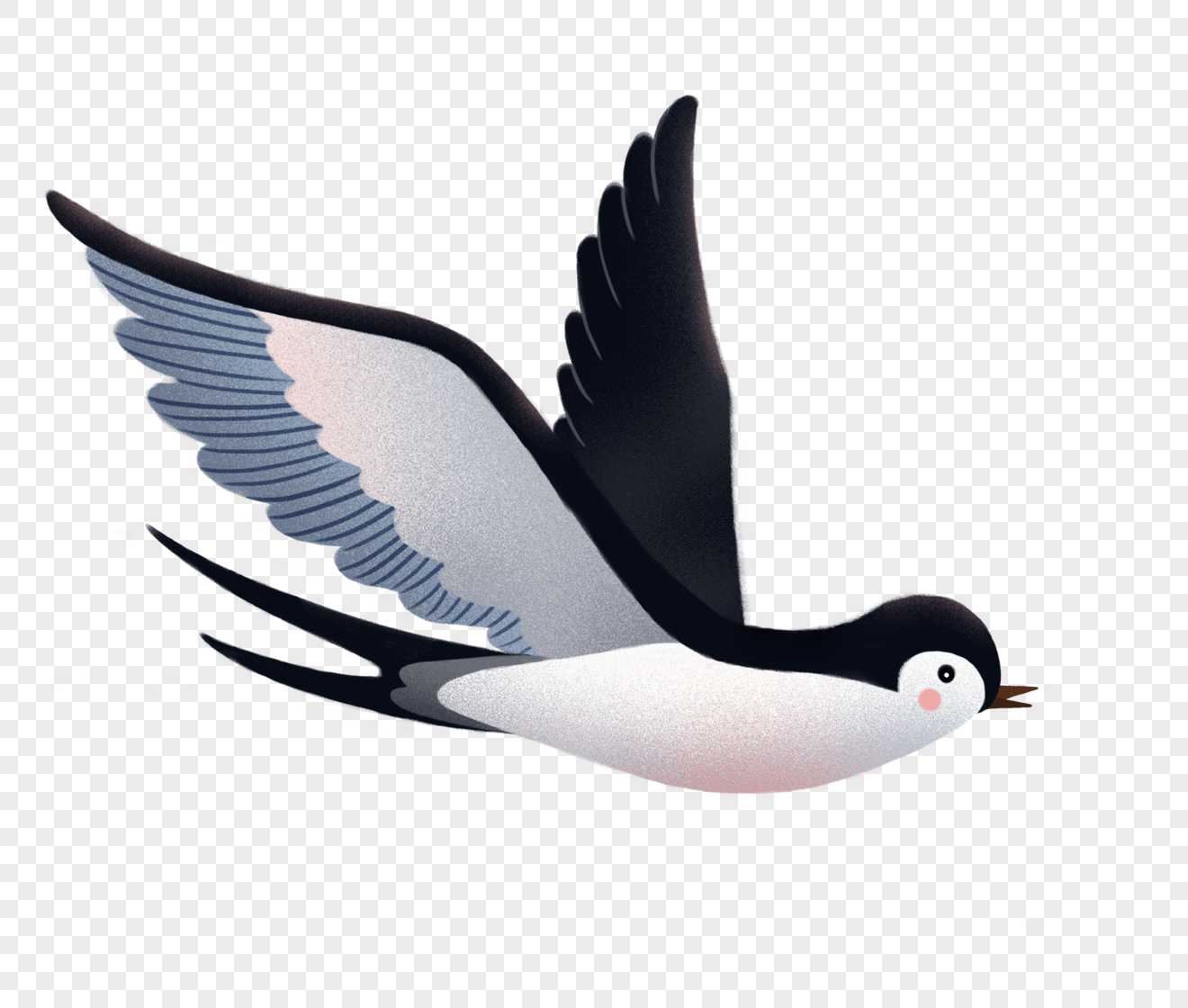 Swallow PNG