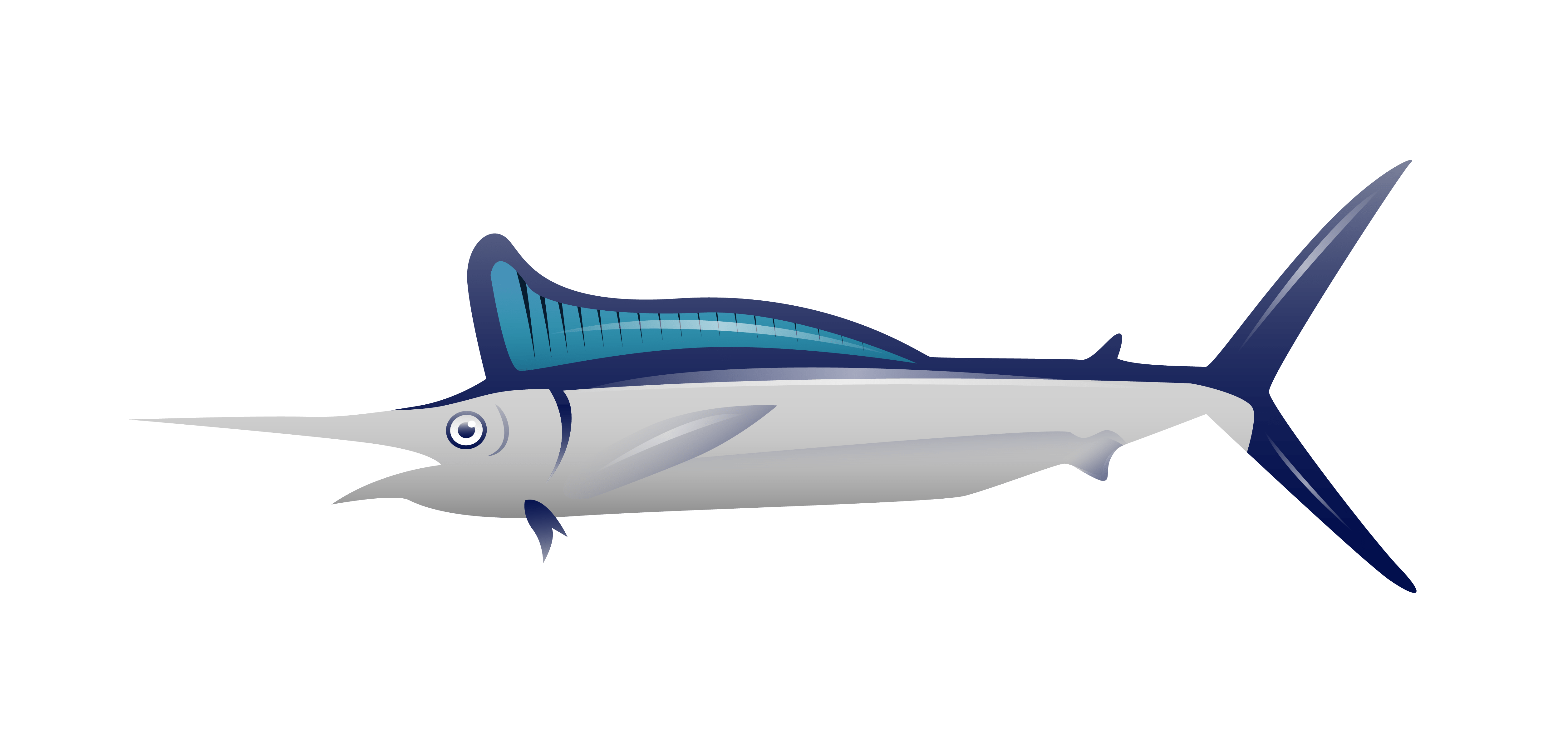 Swordfish PNG transparent image download, size 5023x2354px
