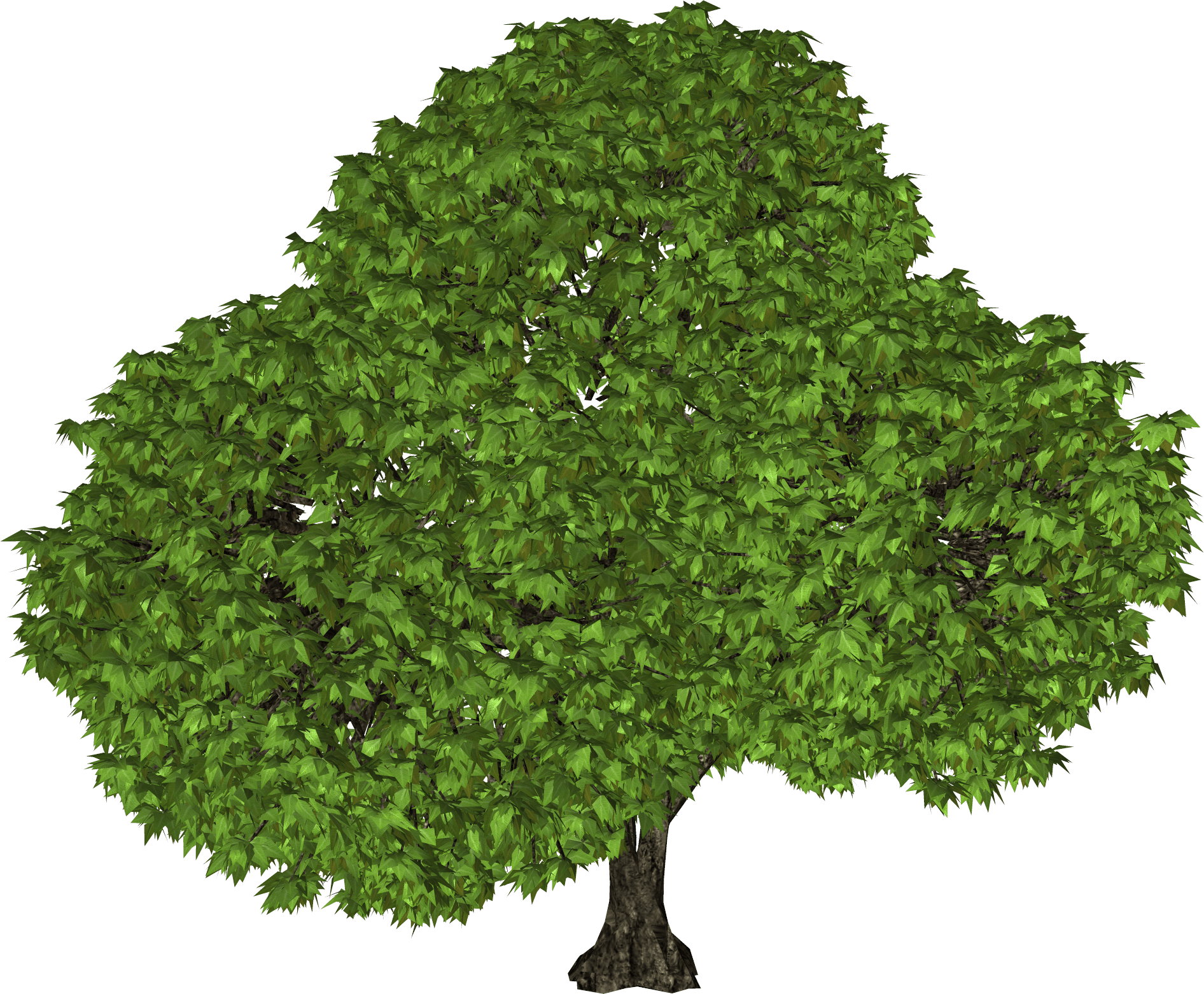 tree png image