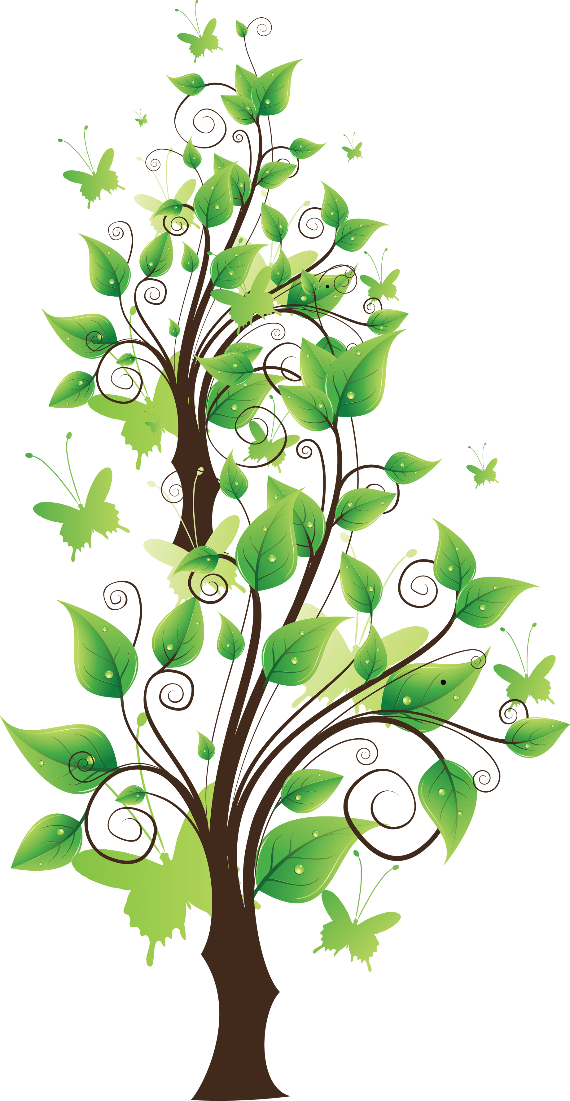 tree png image