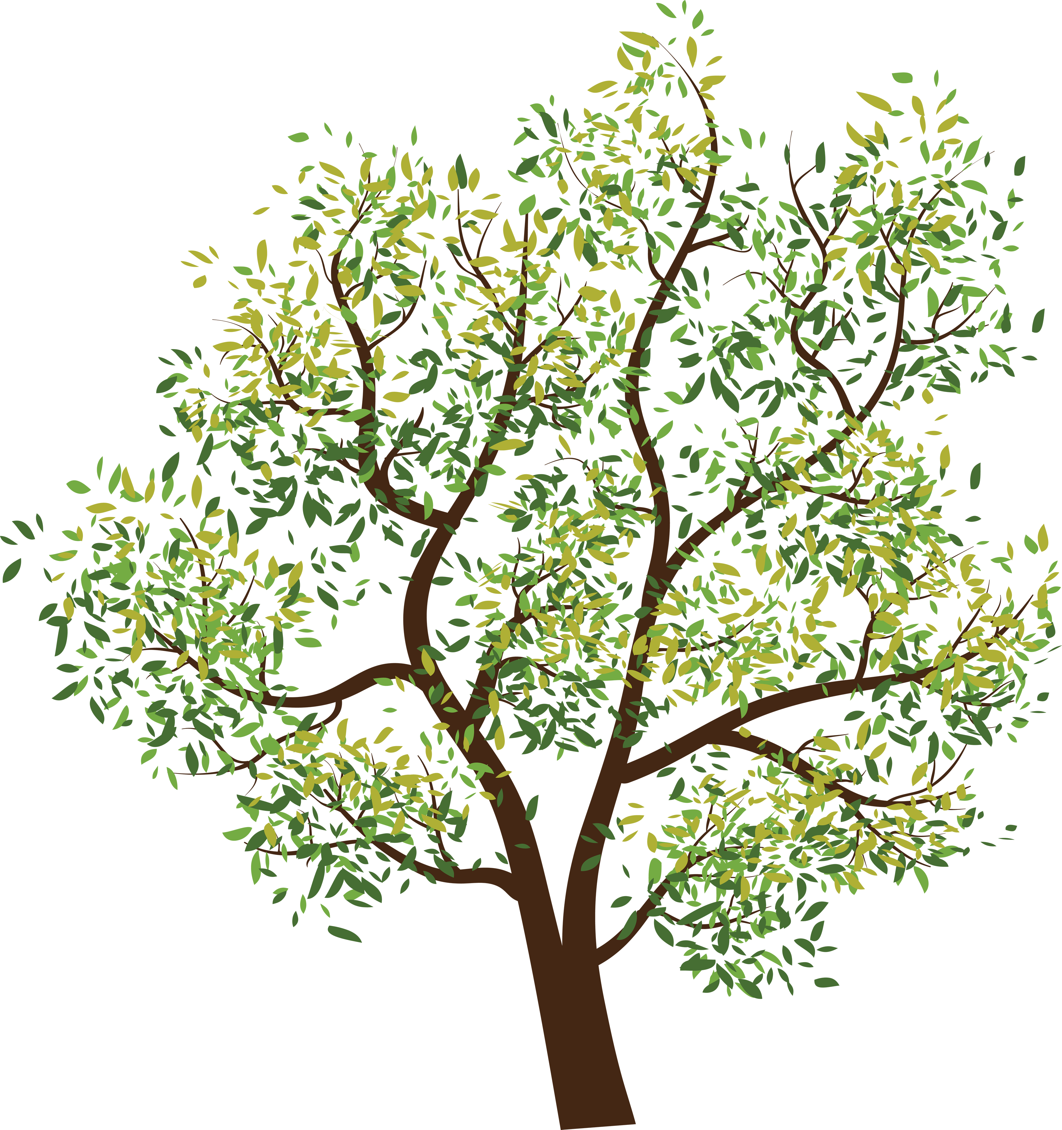 tree png image
