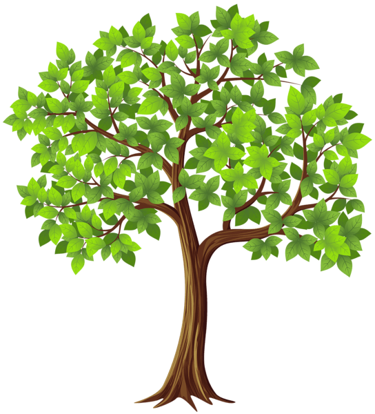 tree PNG transparent image download, size 544x600px