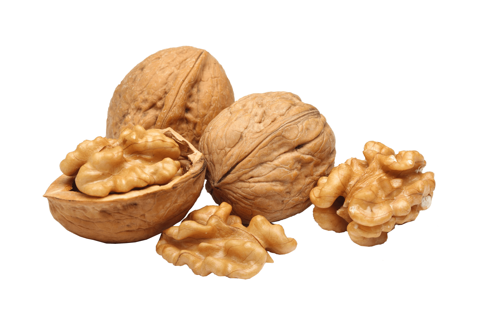 Walnut PNG