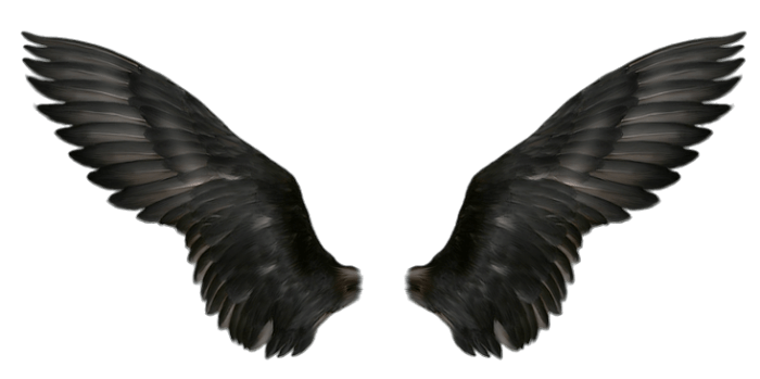 Wings Png Images Free Download Angel Wings Png