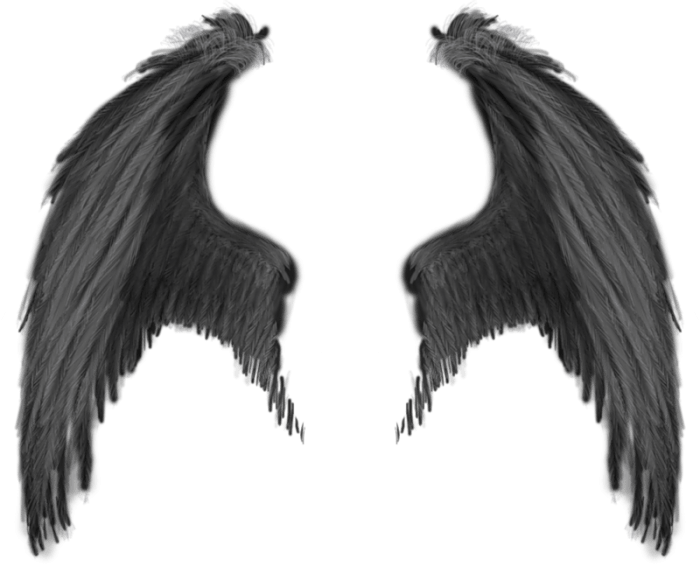 Wings PNG