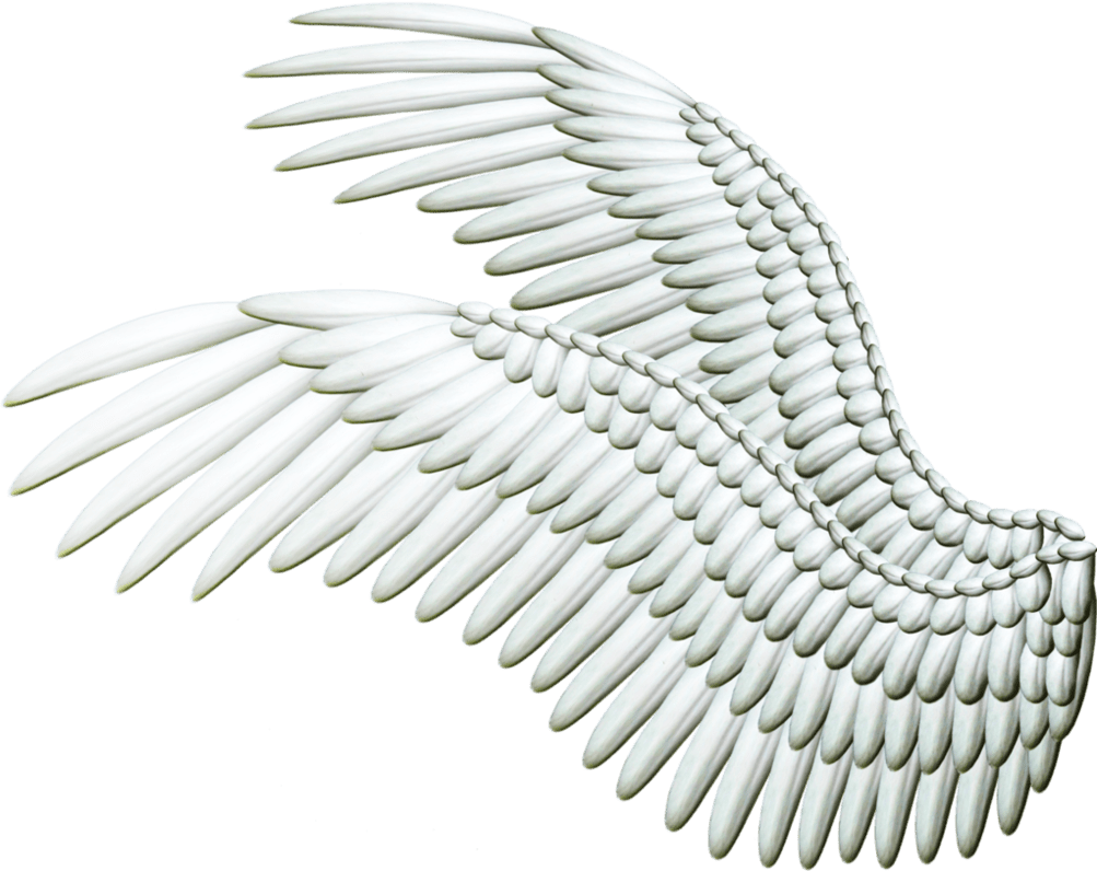 Wings PNG