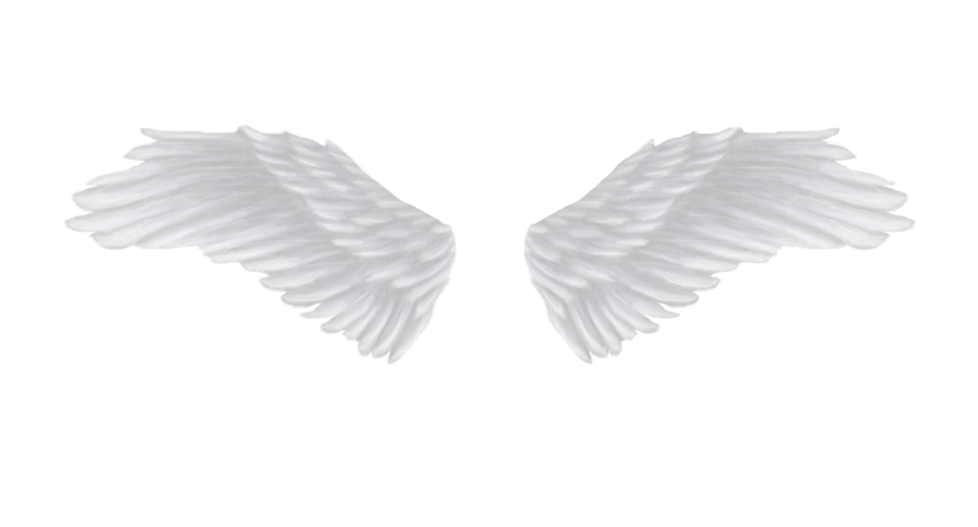 White angel wings PNG